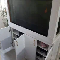 جا کفشی بزرگ با دکور آکواریوم|جاکفشی، کمد، دراور|شیراز, میانرود|دیوار