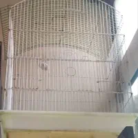 قفس نو و دست دو مناسب انواع پرنده سنجاب سگ مرغ