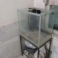آکواریوم سامپ خور با پایه آهنی