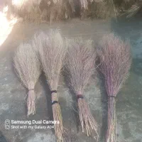 جارو امسال بسته ۶۰هزار