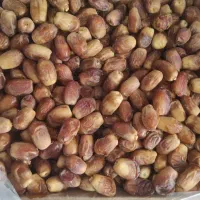 خرمای رطب و زاهدی با کیفیت.|خوردنی و آشامیدنی|مشهد, شهید رضوی|دیوار