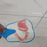 پروتز متحرک دندان|آرایشی، بهداشتی، درمانی|گنبد کاووس, |دیوار