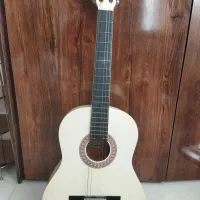 گیتار مکسین فقط دکوری استفاده شده|گیتار، بیس، امپلیفایر|طرقبه, |دیوار