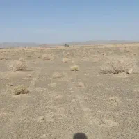 زمین چمگ چهارا سمت راست|فروش زمین و ملک کلنگی|زاهدان, |دیوار