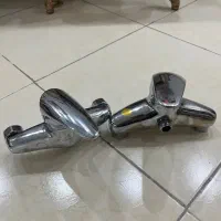 شیر قهرمان / شیر شیبه