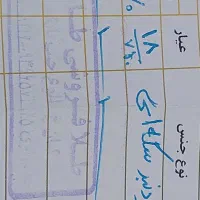 گردنبندسکه ای ۳۰۰بالاخام|جواهرات|اهواز, امانیه|دیوار
