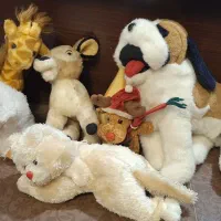 عروسک|اسباببازی|کرمان, |دیوار