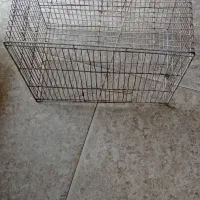 قفس پرنده