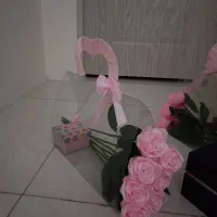 کیف گل مخصوص روز دختر.تک شاخه وفلاور بگ ترند|گل مصنوعی|شیراز, دشت چنار|دیوار