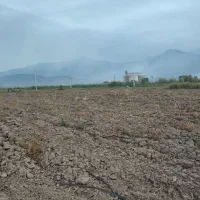 فروش زمین کشاورزی(جای عالی)|فروش زمین و ملک کلنگی|خان ببین, |دیوار