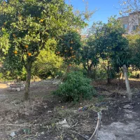 فروش ویلا باغ ۱۰۰۰ متری متل قو|فروش خانه و ویلا|سلمانشهر, |دیوار