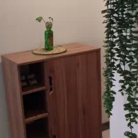 جاکفشی