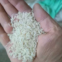 برنج ایرانی قیمت مناسب