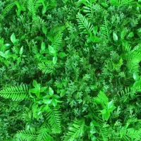 توزیع انواع چمن، فنس،سنگ رودخانه|عمده‌فروشی|رشت, معلولین|دیوار