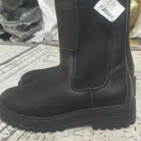 نیمبوت امریکایی