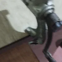 چرخ گوشت دستی|خردکن، آسیاب، غذاساز|شاهین‌شهر, شهرک گلدیس|دیوار