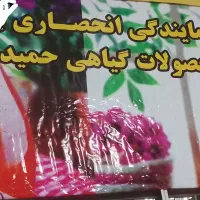 جذب بازاریاب و مدیر فروش