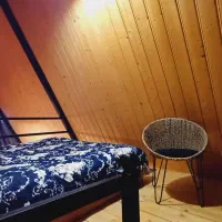 سویسی لاکچری|اجارهٔ کوتاهمدت آپارتمان و سوئیت|تالش, هشتپر|دیوار