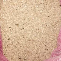 گندم بزری دیم|خوردنی و آشامیدنی|مشهد, ارشاد|دیوار