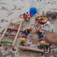 وسایل پرنده عروس هلندی و مرغ عشق