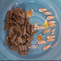 فروش عمده خشکبار