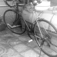 دوچرخ کورسی اصل ژاپن نو