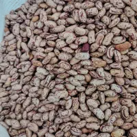 لوبیا چیتی|خوردنی و آشامیدنی|اهر, |دیوار