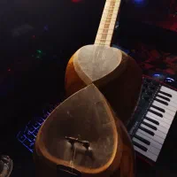 تار لطفی تک مهر خوش صدا