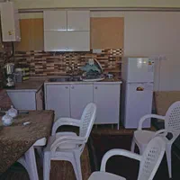 گلخانه فعال جهت فروش|فروش دفتر صنعتی، کشاورزی، تجاری|ششتمد, |دیوار