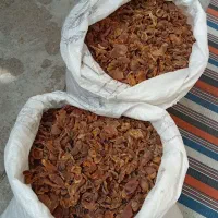 گردو ،، محصولات ارگانیک ،، دهبکری|خوردنی و آشامیدنی|بم, |دیوار