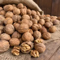 فروش گردوی تازه و مرغوب با قیمت مناسب  عمده و جزئی