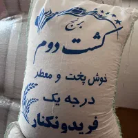 مرغوبترین برنج کشت دو طارم هاشمی، بذر امراللهی