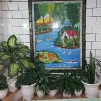 گلهای طبیعی