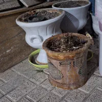 گلدان سفال و سرامیک سالم