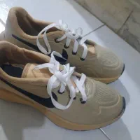 کتونی|کیف، کفش، کمربند|اراک, |دیوار