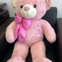 خرس بزرگ ولنتاین