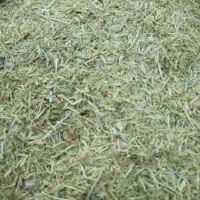 گاه عدس و کورشنه
