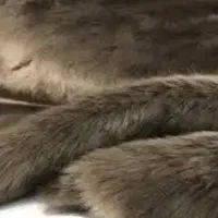 انواع پارچه