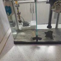 اکواریوم بالوازم ماهی وغذا،پاکدشت