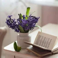 راهنمایی خرید ملک