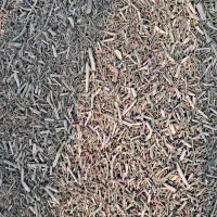 خارشتر درجه یک اماده ارسال ۲۰ تن