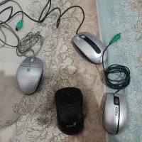 موس