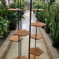 استند فلزی و چوب فلز|گل و گیاه طبیعی|کرمان, |دیوار