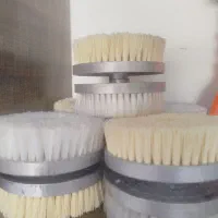 فروش انواع قطعات دستگاه مبلشویی|جاروبرقی، جارو شارژی، بخارشو|بیرجند, |دیوار