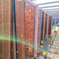 قالیشویی فوق تخصص شهر  تحویل ۲۴ساعت