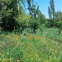 فروش-زمین-1400-متری