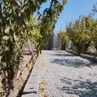 باغچه و باغ شرایطی /شیک /آماده ساخت/درختی|فروش زمین و ملک کلنگی|تهران, شهرک آزادی|دیوار