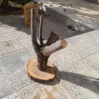 استند پرنده|لوازم جانبی حیوانات|نجف‌آباد, قلعه سفید|دیوار