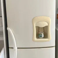 یخچال الجی اصل کره