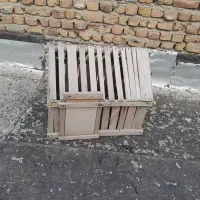 جفتکن کبوتر